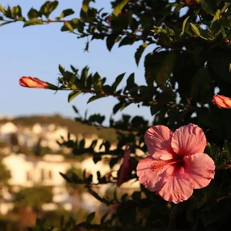 Marina Castillo, Beachfront Sea Views 500m To And Duquesa Marina Apartment Manilva